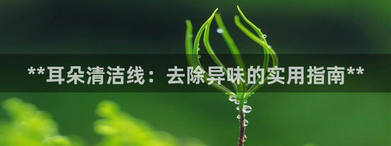 尊龙得过奥斯卡吗