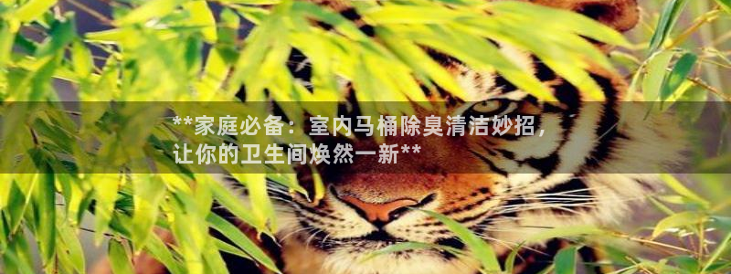 尊龙凯时合法吗?