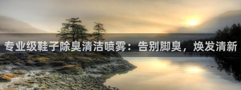 凯时平台登录：专业级鞋子除臭清洁喷雾：告别脚臭，焕发清新