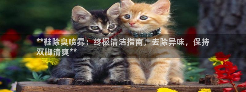 尊龙凯时注册地址：**鞋除臭喷雾：终极清洁指南，去除异味