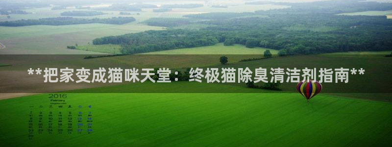 尊龙凯时品牌介绍