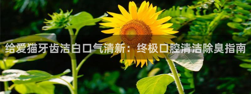 凯时赢来就送38