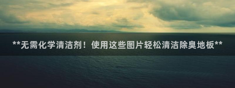 尊龙凯时平台入口