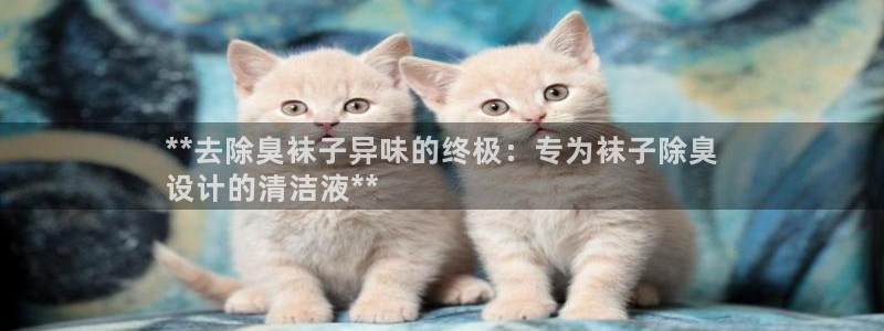 凯时平台官网RA来就送38