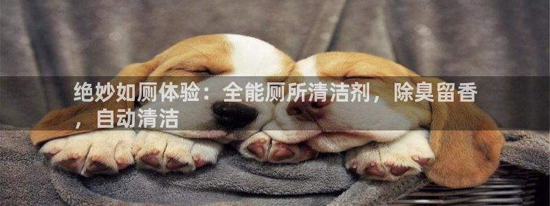 尊龙凯时网娱乐最新版