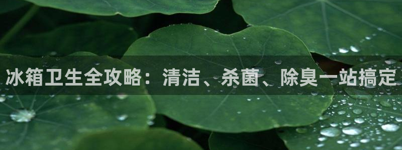 尊龙凯时logo