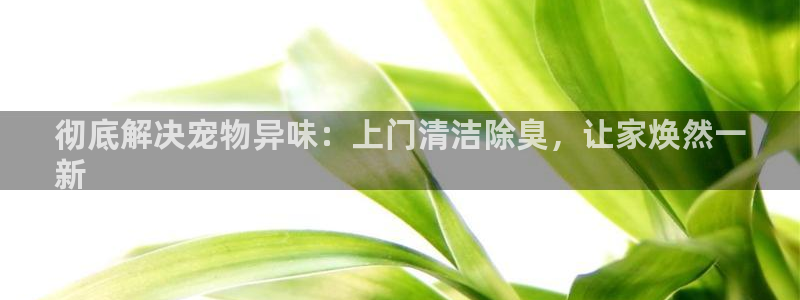尊龙ag旗舰官网