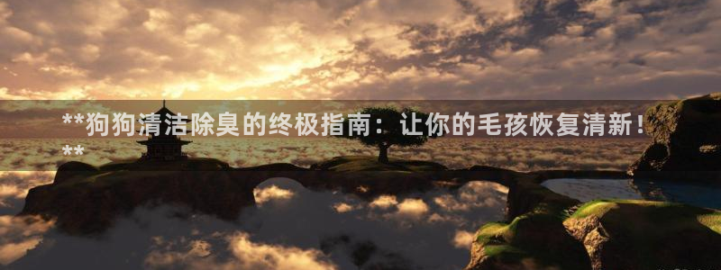 尊龙凯时赞助：**狗狗清洁除臭的终极指南：让你的毛孩恢复