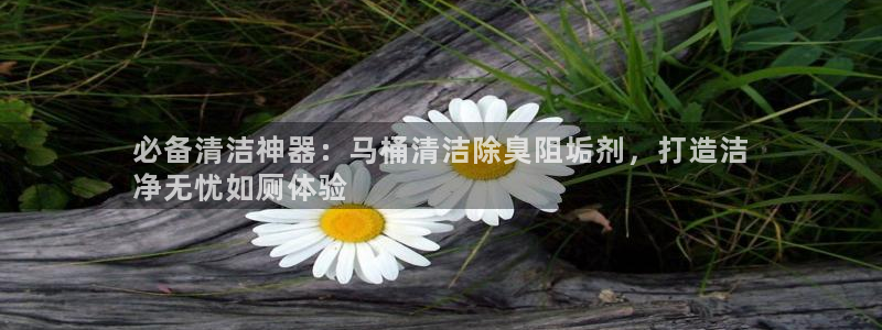 d88尊龙官网手机app
