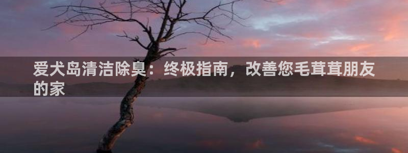 尊龙凯时-人生就是博中国官网