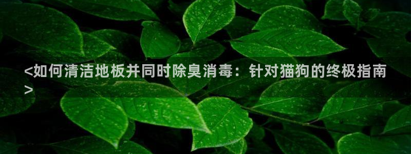 尊龙凯时存款不上分