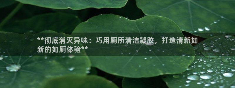 尊龙app下载官网