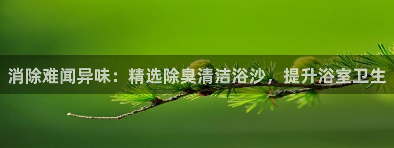 尊龙内地：消除难闻异味：精选除臭清洁浴沙，提升浴室卫生