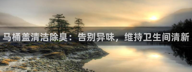 尊龙凯时注册入口：马桶盖清洁除臭：告别异味，维持卫生间清