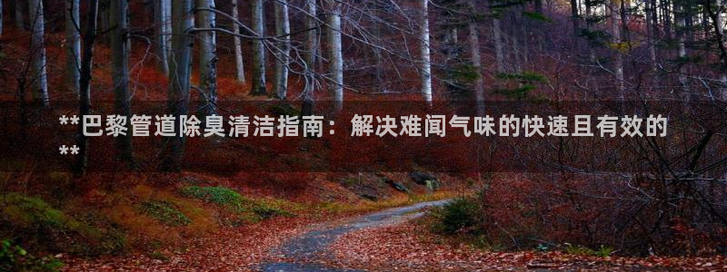尊龙登录：**巴黎管道除臭清洁指南：解决难闻气味的快速且