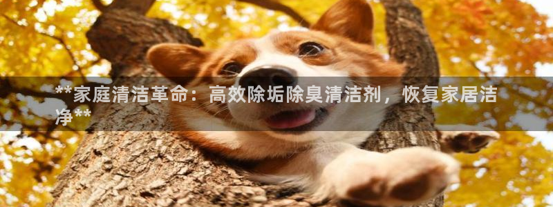 尊龙人生就是博i可靠吗：**家庭清洁革命：高效除垢除臭清