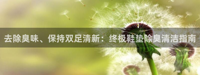 尊龙人生就是博中国区：去除臭味、保持双足清新：终极鞋垫除