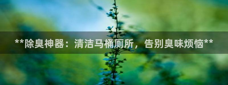 尊龙凯时和九游会哪个平台好一点：**除臭神器：清洁马桶厕
