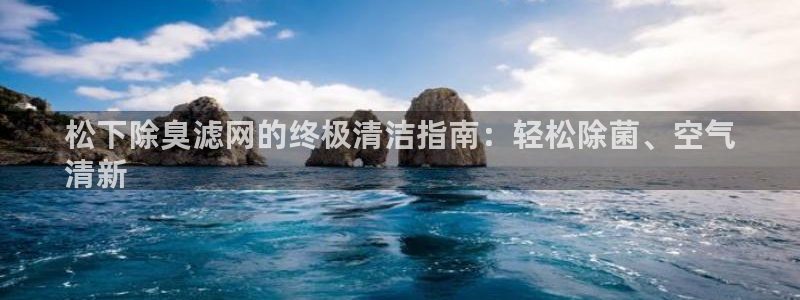 尊龙新版官网网页版：松下除臭滤网的终极清洁指南：轻松除菌