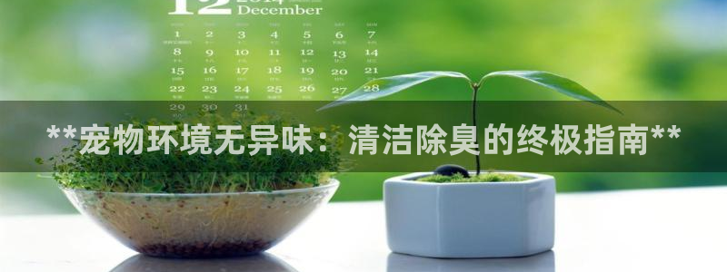 尊龙手机官方客户端下载：**宠物环境无异味：清洁除臭的终