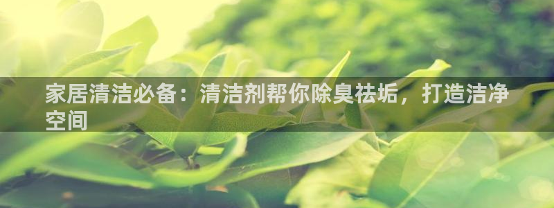 尊龙AG发财网：家居清洁必备：清洁剂帮你除臭祛垢，打造洁