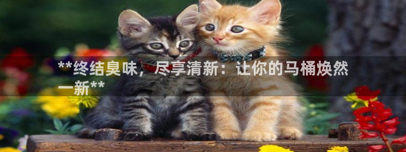 d88尊龙凯时：**终结臭味，尽享清新：让你的马桶焕然
