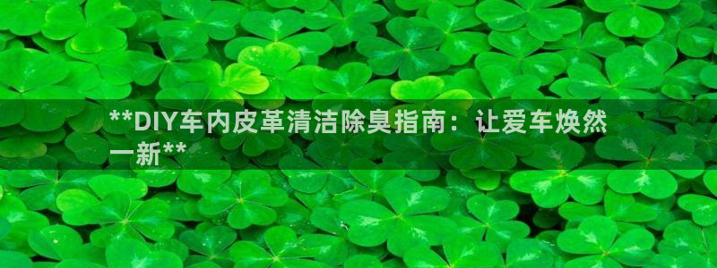 凯时首页登录：**DIY车内皮革清洁除臭指南：让爱车焕然