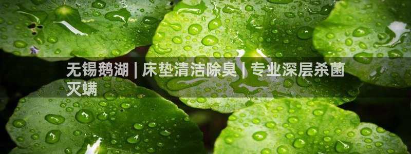 尊龙集团有限公司是国企吗