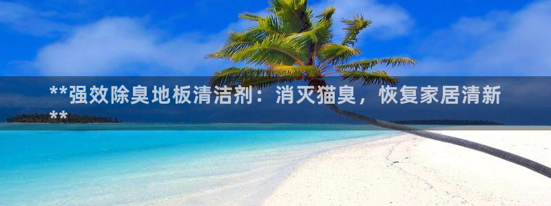 尊龙服饰有限公司地址：**强效除臭地板清洁剂：消灭猫臭，