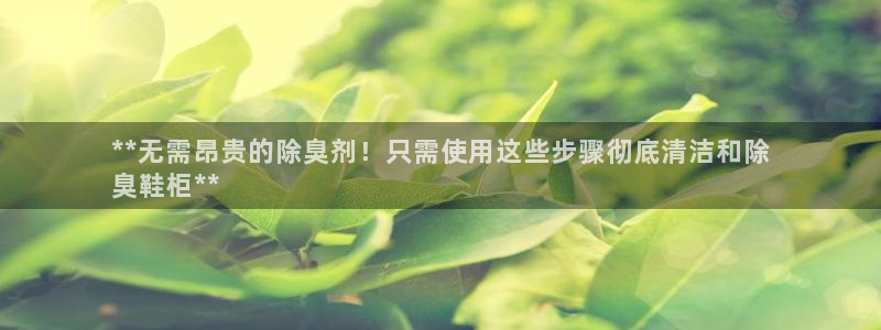 尊龙凯时app安装：**无需昂贵的除臭剂！只需使用这些步