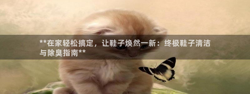 尊龙凯时下载人生就是博：**在家轻松搞定，让鞋子焕然一新