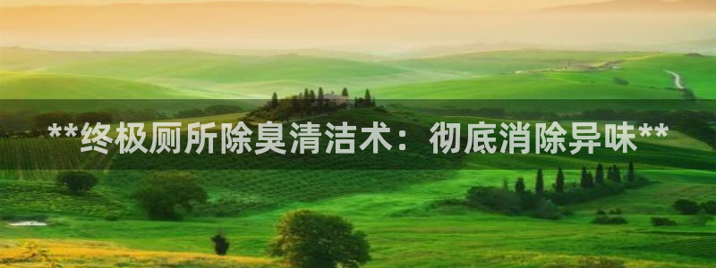 尊龙尊龙：**终极厕所除臭清洁术：彻底消除异味**