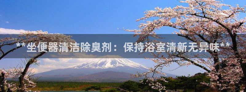 尊龙凯时登录：**坐便器清洁除臭剂：保持浴室清新无异味*