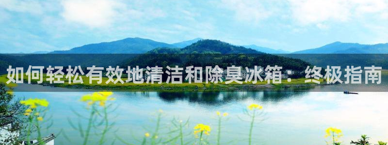 尊龙凯时怎么注册：如何轻松有效地清洁和除臭冰箱：终极指南