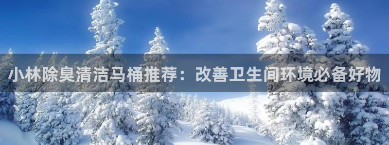 尊龙凯时投诉最狠的方法：小林除臭清洁马桶推荐：改善卫生间