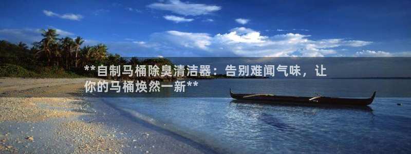 尊龙人生就要博旧版：**自制马桶除臭清洁器：告别难闻气味