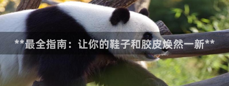 尊龙ag旗舰官网：*