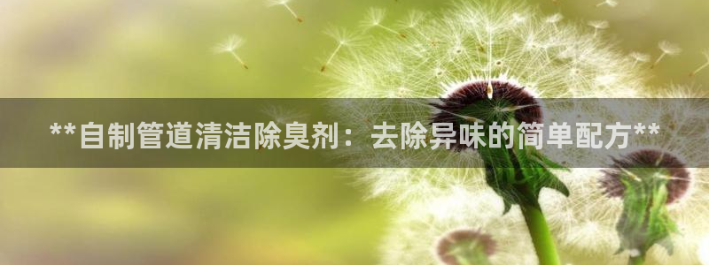 尊龙AG旗舰厅官网