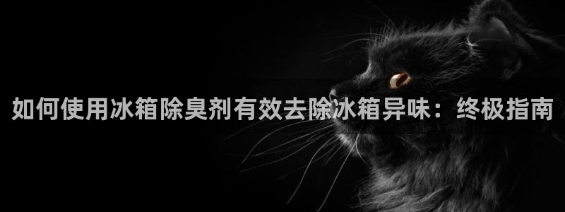 尊龙凯时平台还是万博好