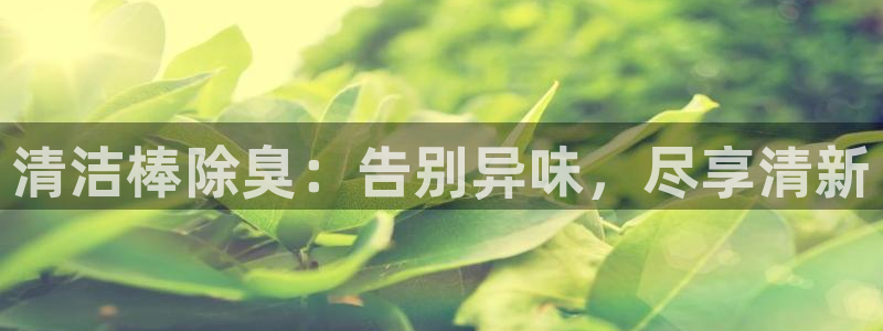 尊龙凯时电竞注册：清洁棒除臭：告别异味，尽享清新