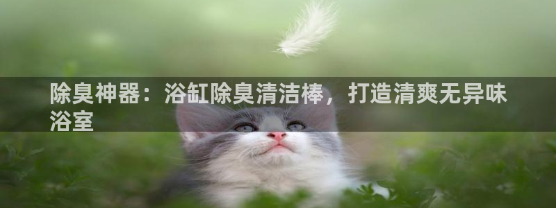 kb88凯时SO权威AG发财网