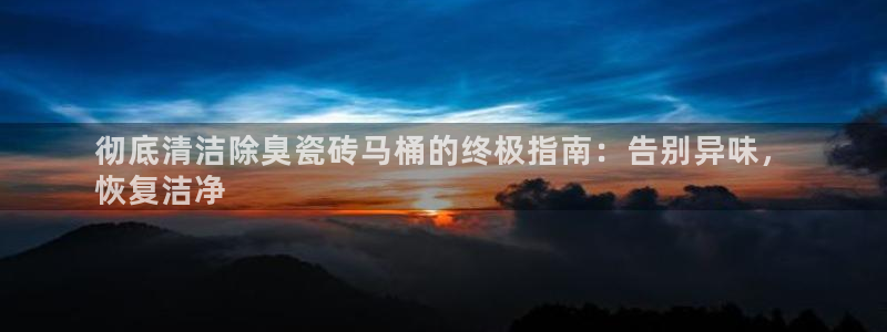 尊龙现金d88：彻底清洁除臭瓷砖马桶的终极指南：告别异味