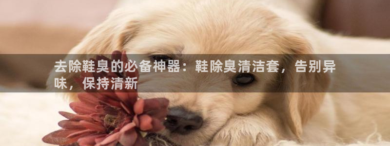尊龙凯时品牌介绍