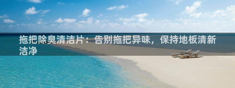 尊龙 下载：拖把除臭清洁片：告别拖把异味，保持地板清新
