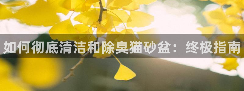 尊龙凯时平台入口
