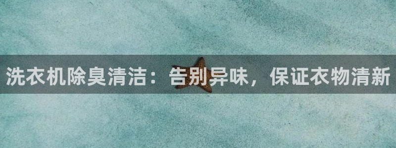 d88尊龙z6：洗衣机除臭清洁：告别异味，保证衣物清新
