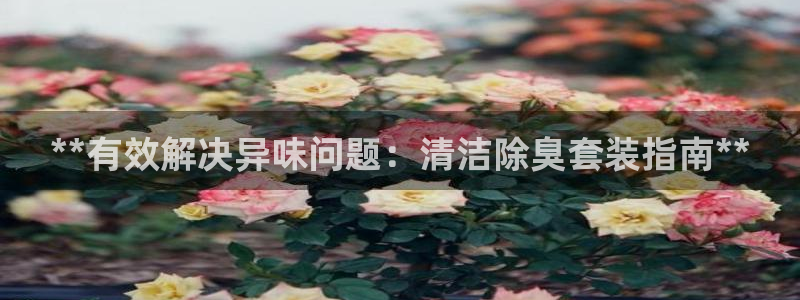 尊龙app|首选agdaohang