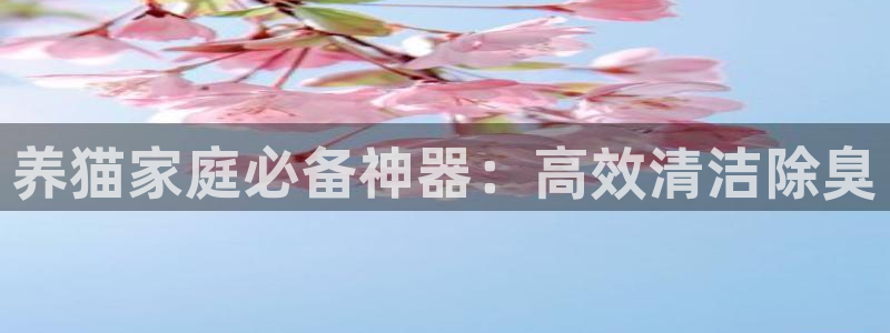 尊龙凯时国际