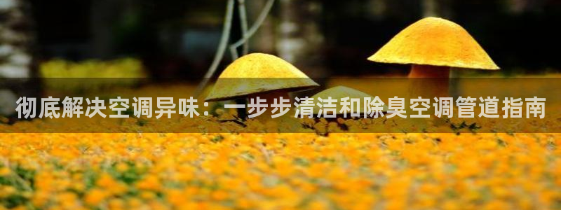 尊龙凯时人生就是搏技术实力