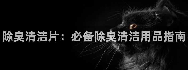 尊龙d88平台：除臭清洁片：必备除臭清洁用品指南